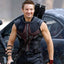 hawkeye avengers jeremy renner vest
